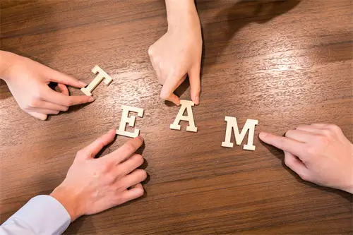 移动公司会议岗位介绍