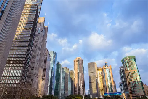 公司多样性介绍